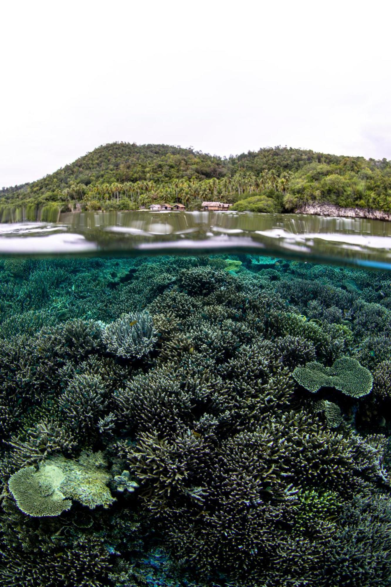 Mansuar Raja Ampat Bungalows Kri Exterior foto